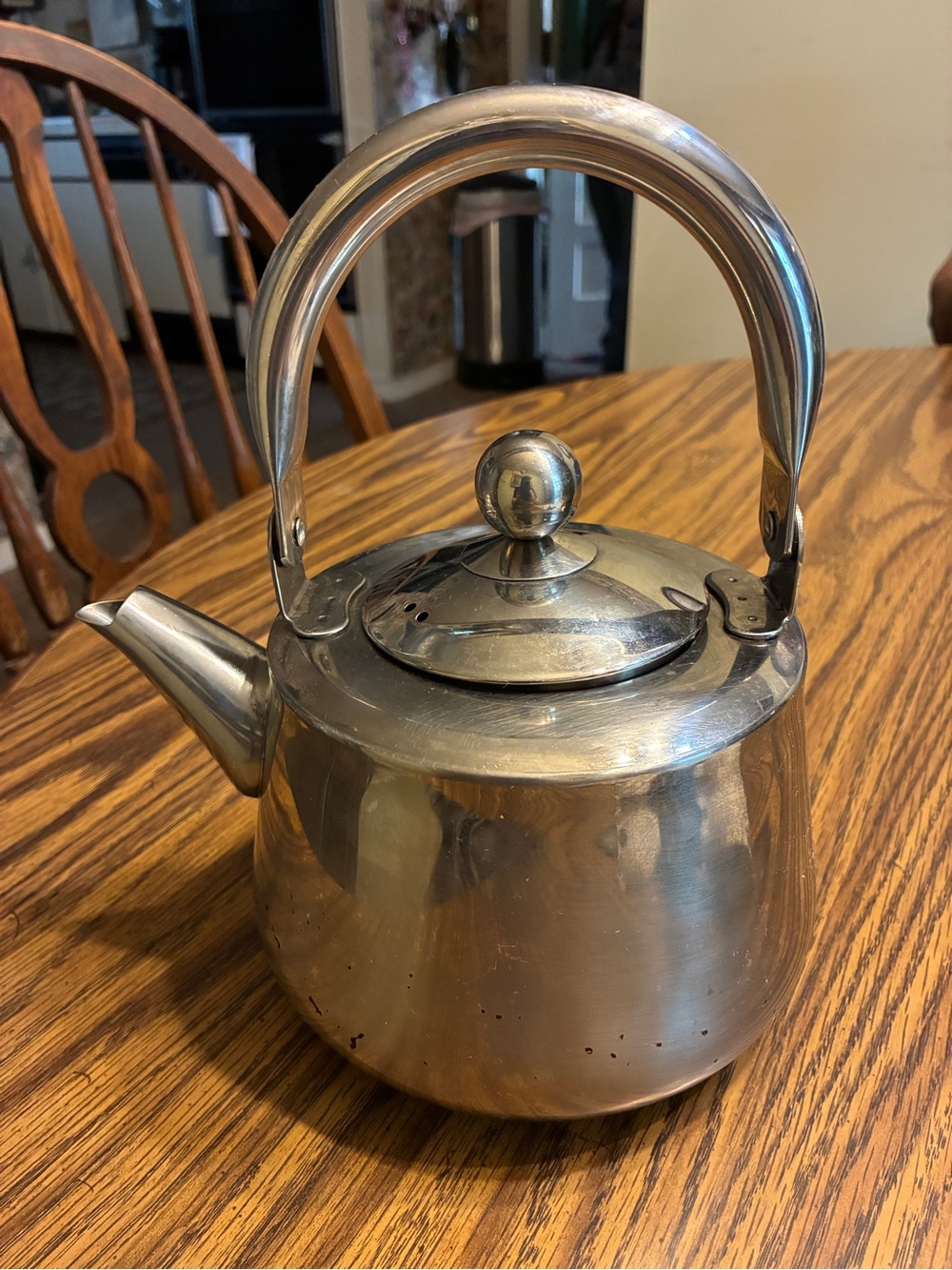 Brushed Stainless Steel Tea Kettle with Arched Handle - Silver